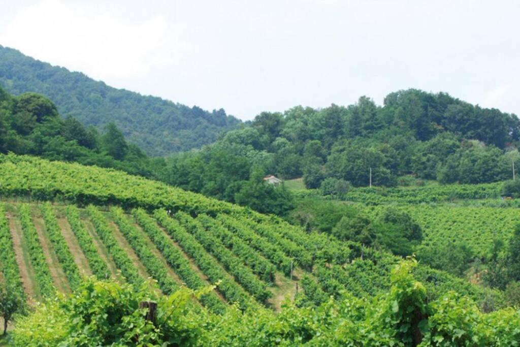 I 4 Elementi Διαμέρισμα Crespano del Grappa Εξωτερικό φωτογραφία